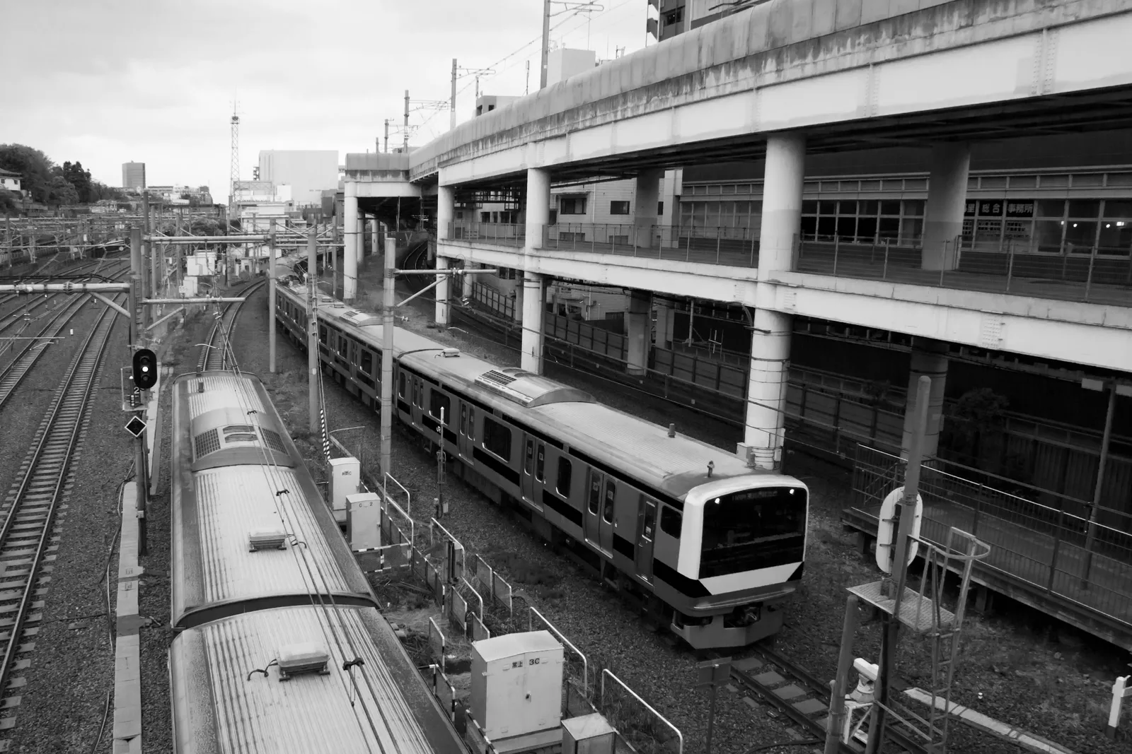 Two trains stopped at a Tokyo station platform