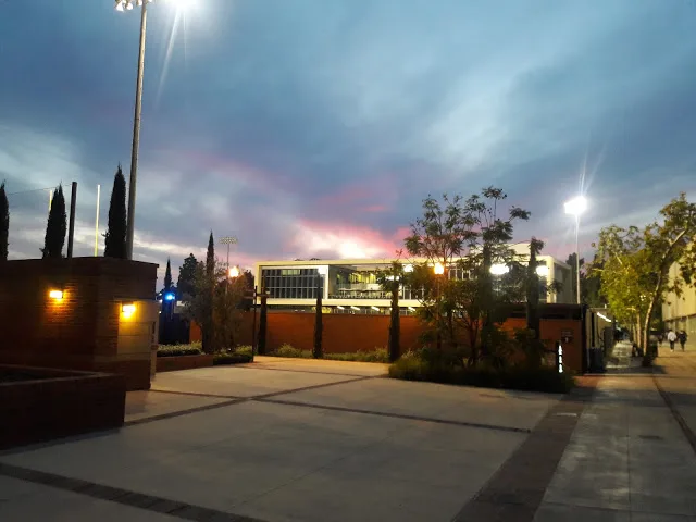 A UCLA campus walkway at dusk beneath a blue and pink sky.